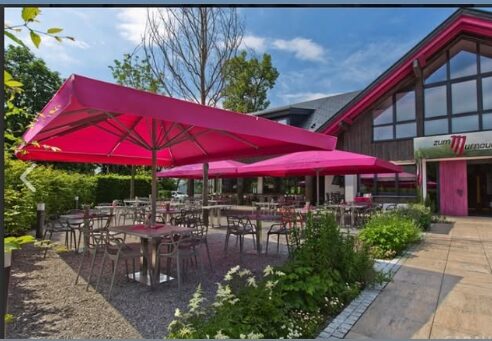 VAULX EN VELIN – LA GRAPPINIERE – PROFESSIONNEL